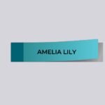 Amelia Lily: Rising Star in Music and Television