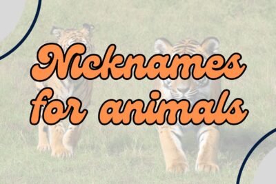 Nicknames for Animals